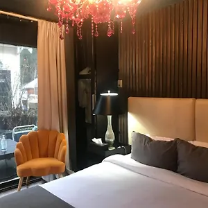  Homestay Style Basement Canada